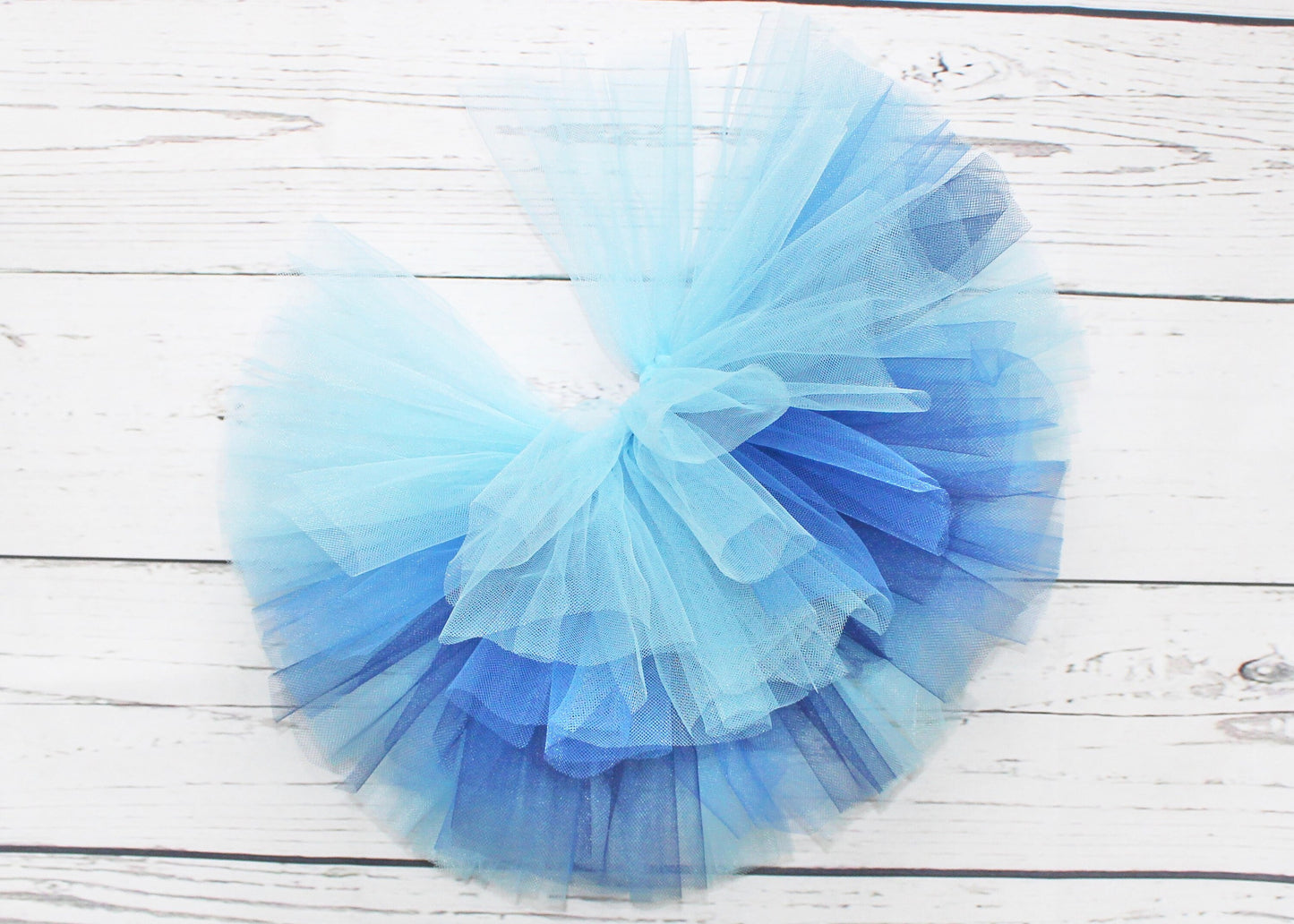 Blue Ombre Tutu Skirt