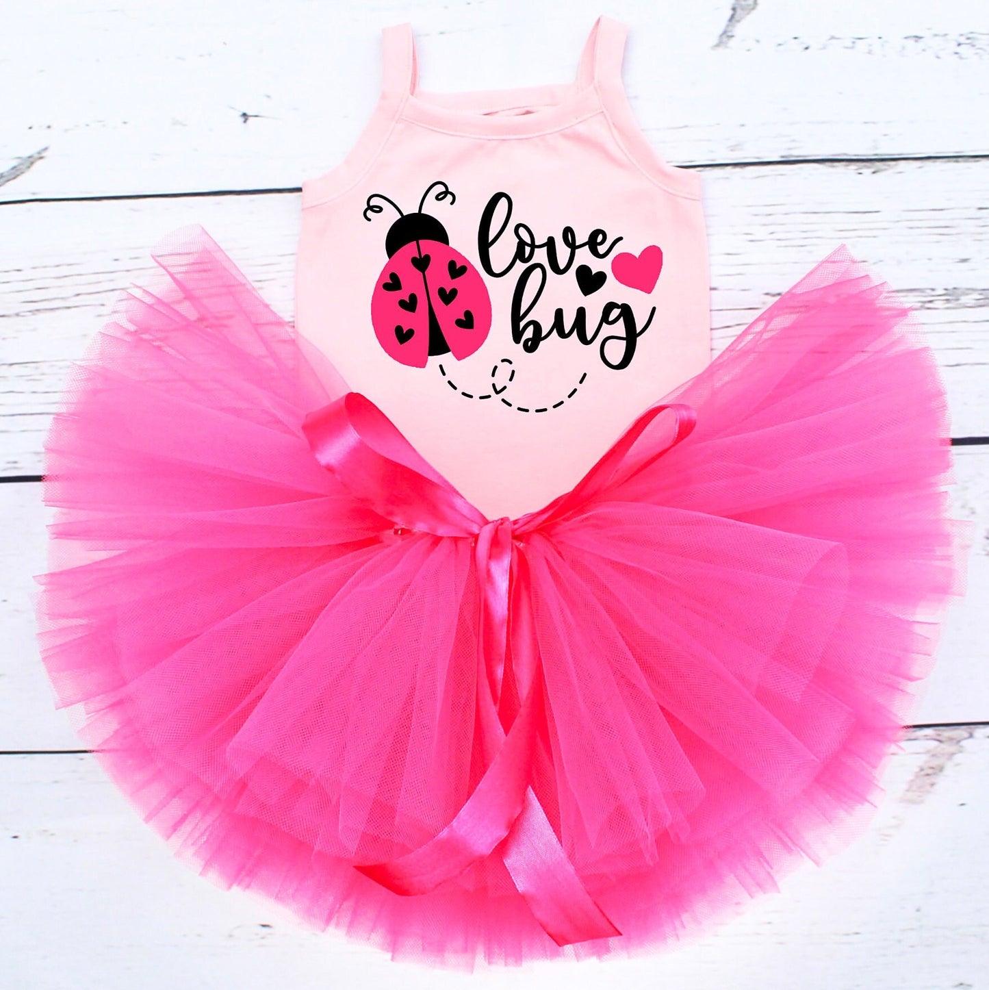 Valentine's Love Bug Outfit