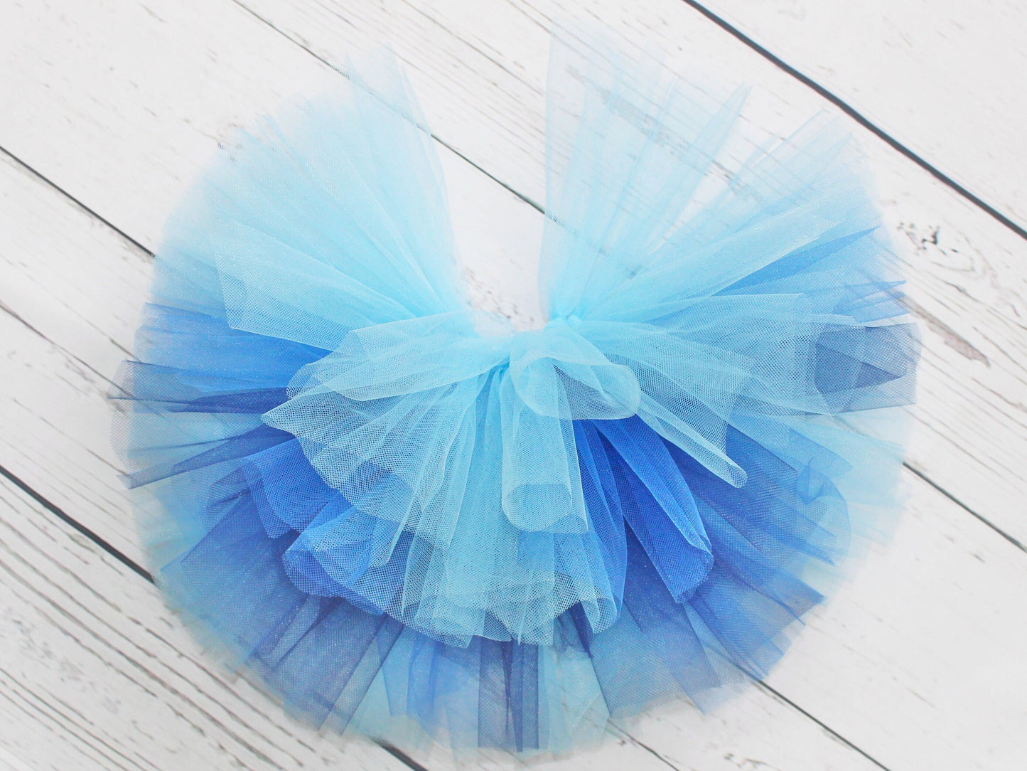 Blue Ombre Tutu Skirt