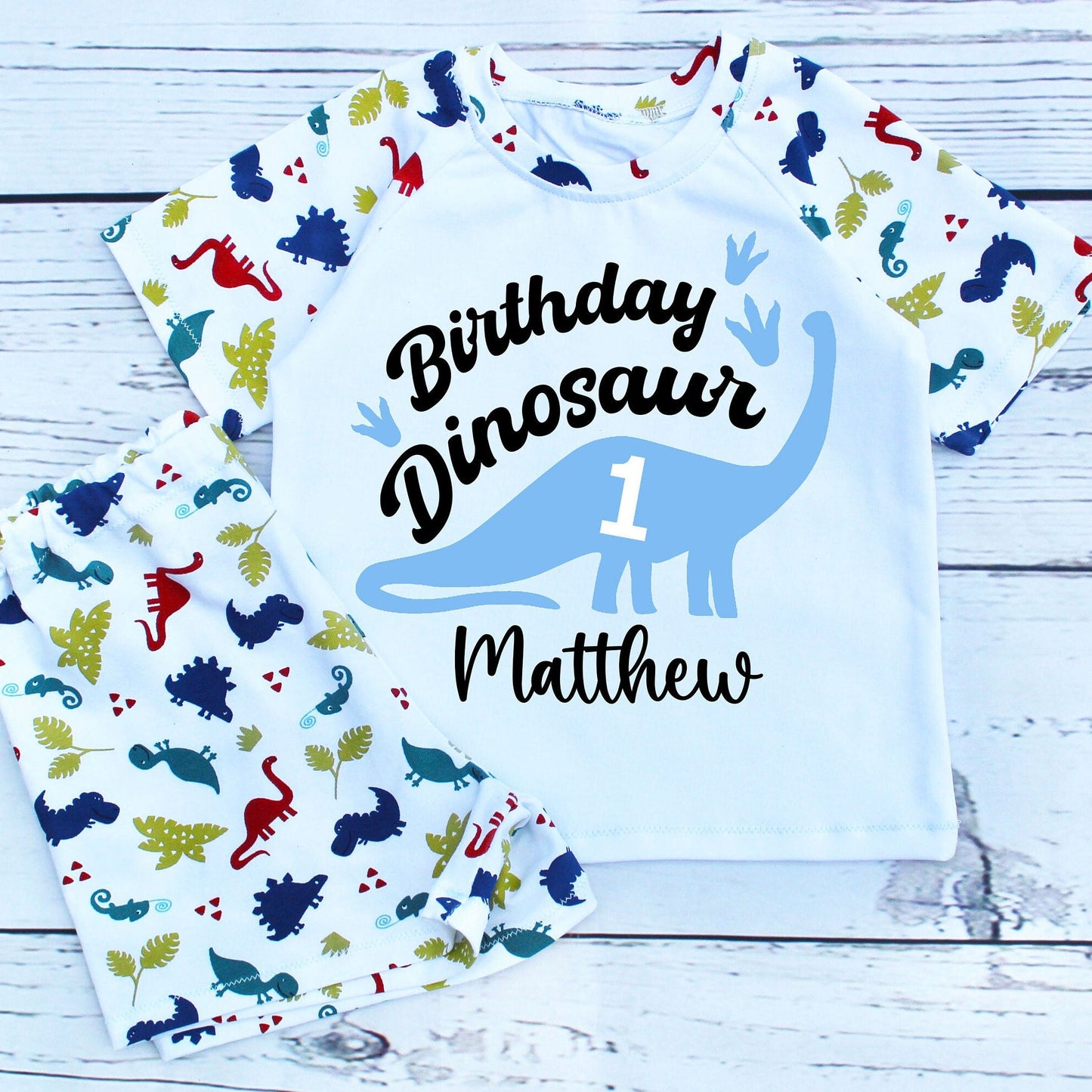 Boys Dinosaur 1st Birthday Outfit